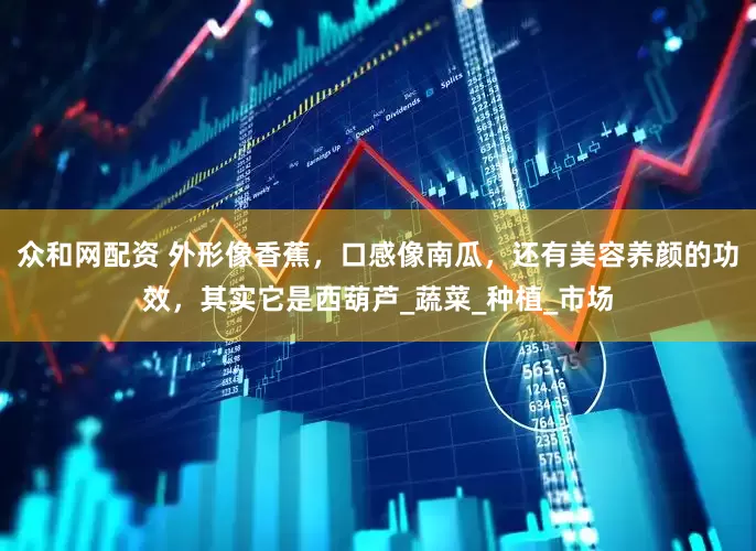 众和网配资 外形像香蕉，口感像南瓜，还有美容养颜的功效，其实它是西葫芦_蔬菜_种植_市场